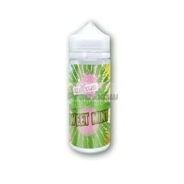 Longfill Virtus 6/120 ml - Sweet Mint - Longfill Virtus 6/120 ml - Sweet Mint| Swiatpremixow.pl - - 19,90 zł - Longfill Virtus 