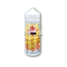 Longfill Virtus 6/120 ml - Lemon Grapefruits Frost - Longfill Virtus 6/120 ml - Lemon Grapefruits Frost | Swiatpremixow.pl - - 