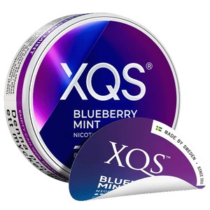 Saszetki nikotynowe XQS Blueberry Mint Normal 4 mg