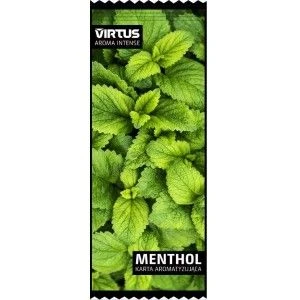 Karta wkładka aromatyzująca VIRTUS - MENTHOL - Karta wkładka aromatyzująca VIRTUS - MENTHOL -  - 1,24 zł - WKĹADKA AROMAT