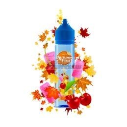 Longfill VAPY AUTUMN TIME 10ml w 60ml butelce o smaku Cherry gum - 24,91 zł - Polski (Polish)