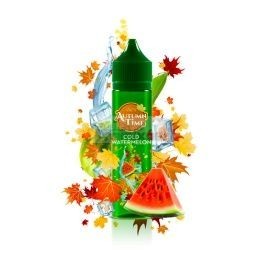Longfill VAPY AUTUMN TIME 10ml w 60ml butelce o smaku Cold Watermelon - 24,91 zł - Polski (Polish)
