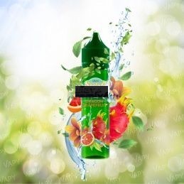 Longfill VAPY SPRING TIME 10ml w 60ml butelce o smaku DRAGON GRAPEFRUIT - 24,91 zł - Polski (Polish)