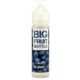 Premix BIG FRUIT BOTTLE 40ml - Forest Blueberry -  -  - 25,00 zł - 