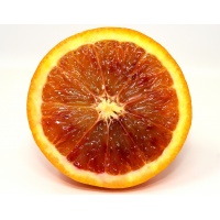 Czerwona pomarańcza