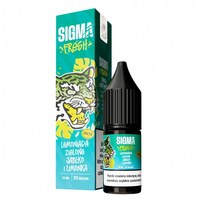 Liquid Sigma Fresh Salt o pojemności 10ml i mocy 20 mg soli nikotynowej