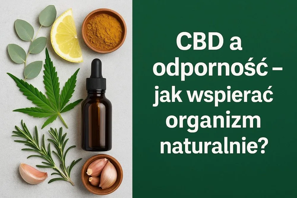 CBD a odporność – jak wspierać organizm naturalnie?
