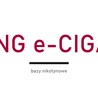 King e-Cigar