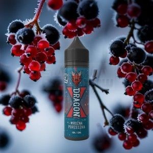 Dragon X Panda Longfill Mroźna Porzeczka 10ml — porzeczka Ice